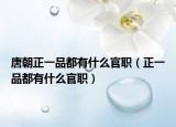 唐朝正一品都有什么官职（正一品都有什么官职）