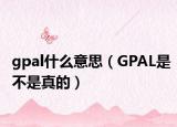 gpal什么意思（GPAL是不是真的）