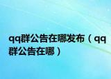 qq群公告在哪发布（qq群公告在哪）