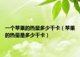 一个苹果的热量多少千卡（苹果的热量是多少千卡）