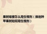 果树嫁接怎么用生根剂（换地种苹果树如何用生根剂）