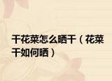 干花菜怎么晒干（花菜干如何晒）
