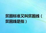 贫困标准又叫贫困线（贫困线是指）