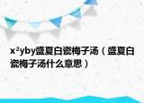 x²yby盛夏白瓷梅子汤（盛夏白瓷梅子汤什么意思）