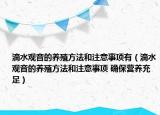 滴水观音的养殖方法和注意事项有（滴水观音的养殖方法和注意事项 确保营养充足）