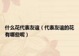 什么花代表友谊（代表友谊的花有哪些呢）