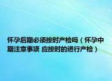 怀孕后期必须按时产检吗（怀孕中期注意事项 应按时的进行产检）