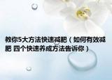 教你5大方法快速减肥（如何有效减肥 四个快速养成方法告诉你）