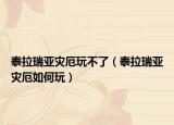 泰拉瑞亚灾厄玩不了（泰拉瑞亚灾厄如何玩）