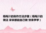 杨梅汁的制作方法步骤（杨梅汁的做法 家家都能自己做 快来学学）