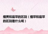 缅黄和翡翠的区别（缅翠和翡翠的区别是什么呢）