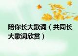 陪你长大歌词（共同长大歌词欣赏）