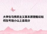 大学生马克思主义基本原理概论如何在考场小山上拿高分