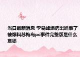 当日最新消息 李易峰塌房出啥事了被爆料苏梅岛pc事件完整版是什么意思