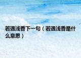 若遇浅香下一句（若遇浅香是什么意思）