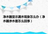 净水器显示漏水现象怎么办（净水器渗水是怎么回事）