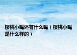 樱桃小嘴还有什么嘴（樱桃小嘴是什么样的）