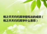桃之夭夭灼灼其华提炼出的成语（桃之夭夭灼灼其华什么意思）