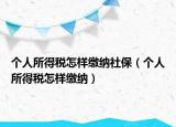 个人所得税怎样缴纳社保（个人所得税怎样缴纳）