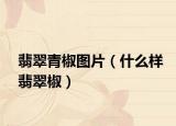 翡翠青椒图片（什么样翡翠椒）