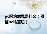 pc网络意思是什么（网络pc啥意思）