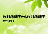 数字城管是干什么的（城管是干什么的）
