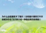 为什么谷歌搜索不了图片（谷歌图片搜索打不开的解决办法 为大家介绍一种稳定有效快速的）