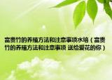 富贵竹的养殖方法和注意事项水培（富贵竹的养殖方法和注意事项 送给爱花的你）