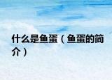 什么是鱼蛋（鱼蛋的简介）