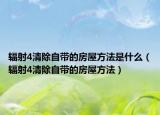 辐射4清除自带的房屋方法是什么（辐射4清除自带的房屋方法）