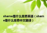 shame是什么意思英语（shame是什么意思中文翻译）