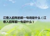 江春入旧年的前一句诗是什么（江春入旧年前一句是什么）