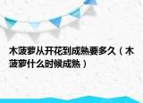 木菠萝从开花到成熟要多久（木菠萝什么时候成熟）