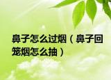鼻子怎么过烟（鼻子回笼烟怎么抽）