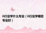 it行业学什么专业（it行业学哪些专业好）
