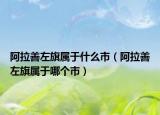 阿拉善左旗属于什么市（阿拉善左旗属于哪个市）