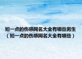 短一点的伤感网名大全有哪些男生（短一点的伤感网名大全有哪些）