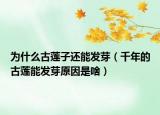为什么古莲子还能发芽（千年的古莲能发芽原因是啥）