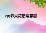 qq养火花是啥意思