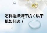 怎样选择烘干机（烘干机如何选）