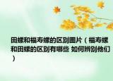 田螺和福寿螺的区别图片（福寿螺和田螺的区别有哪些 如何辨别他们）