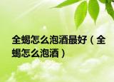 全蝎怎么泡酒最好（全蝎怎么泡酒）