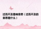 过而不及是啥意思（过而不及的意思是什么）