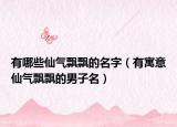 有哪些仙气飘飘的名字（有寓意仙气飘飘的男子名）
