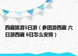 西藏旅游5日游（参团游西藏 六日游西藏 6日怎么安排）