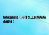 娃娃鱼捕猎（用什么工具捕娃娃鱼最好）