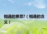 相遇的意思?（相遇的含义）