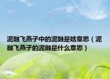 泥融飞燕子中的泥融是啥意思（泥融飞燕子的泥融是什么意思）