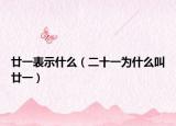 廿一表示什么（二十一为什么叫廿一）