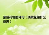 顶戴花翎的诗句（顶戴花翎什么意思）